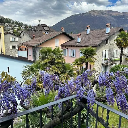 Apartman Vista *